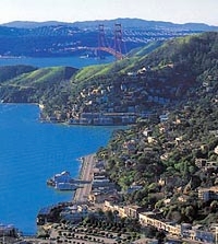 Muir Woods, Giant Redwoods and Sausalito