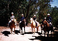 Horse Riding and BBQ Lunch
