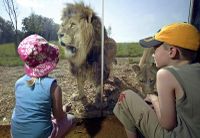 Whipsnade Zoo Tickets