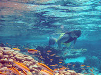 Catamaran Cruise with Snorkeling