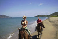 Guided Horse Back Riding Adventure