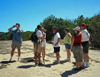 Half Day Rainforest Hikes in Charlestown