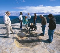 Blue Mountains High Country Luxury Small Group Ecotour