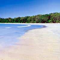 Daintree Wanderer Small Group Tour departs Cairns
