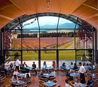 Koala, Wines and Fern Gullies in the Yarra Valley Tour departs Melbourne