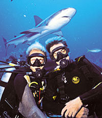 Nassau Shark Adventure