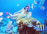 Snorkel Bahamas Adventure