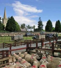 Four Day Small Group North Wales Tour - Mountains and Lakes