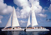 Grand Cayman Red Sail Sports Stingray City Afternoon Sail