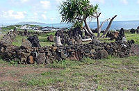 Sacred Hawaiian Spirits Morning Tour