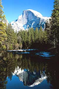 Yosemite National Park Deluxe Tour
