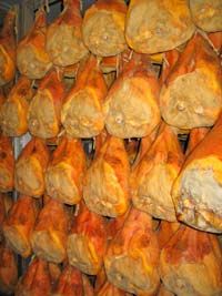 Bologna Private Gastronomy Tour including Wine Tasting and Parmigiano Reggiano Cheese