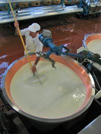 Bologna Private Gastronomy Tour including Wine Tasting and Parmigiano Reggiano Cheese