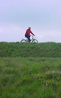 Private Bologna Cycling Sightseeing Tour