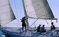 Day Sailing on Banderas Bay