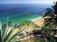 Las Caletas Day Tour from Puerto Vallarta