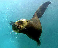 Las Caletas Day Tour from Puerto Vallarta