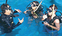 Learn to Dive - Beginner Resort Scuba Course