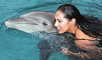 Nuevo Vallarta Dolphin Swim Experience
