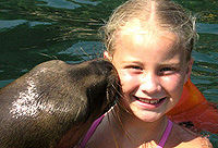 Mexico Puerto Vallarta - Nuevo Vallarta Sea Lion Encounter tours