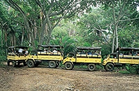 Outdoor Adventure Tour