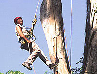Puerto Vallarta Canopy Adventure