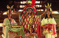 Rhythms of the Night Show from Puerto Vallarta