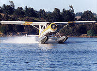 Sausalito Champagne Seaplane Flight