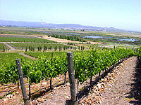 Seaplane Flight and Wine Tour from Sausalito