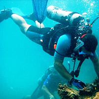 Dive At Drakes Island (sir Francis)