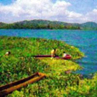Ecotour: Gamboa Chagres River Boat Cruise