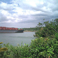 Ecotour: Gamboa Gatun Lake Boat Cruise