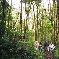 Ecotour: Pipeline Road (Soberania National Park)