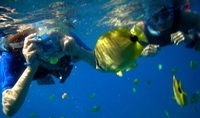 Hanauma Bay Snorkeling Adventure Tour