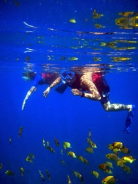 Hanauma Bay Snorkeling Adventure Tour