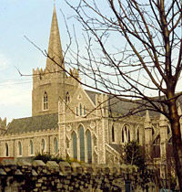 Dublin Castle and St Patrick's Cathedral Walking Tour