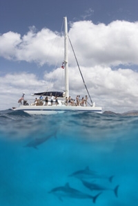 Leeward Coast Dolphin Snorkel Sail