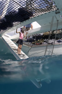 Leeward Coast Leid Back Private Yacht Sail