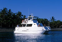 Leeward Scuba Dive