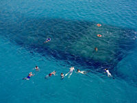 Leeward Scuba Dive
