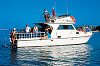 Hawaii Two Tank Dive
