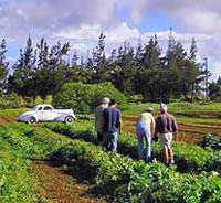 Merriman's Culinary and Farm Adventure