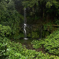 Pinz Trek Kohala Wai Adventure