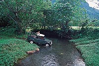 4WD Safari Expedition