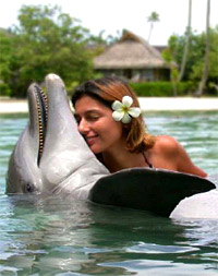 Dolphin Encounter at Moorea Dolphin Centre