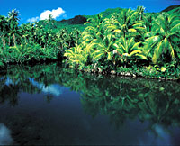 Faaroa River Cruise