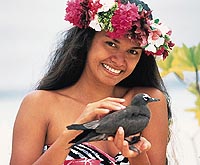 Meeting The Polynesians (private Tour)