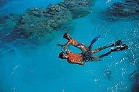 Moorea Motu Excursion with Shark and Ray Feeding