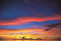Sailing Sunset Cruise