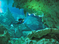 Mexican Cenote Diving Excursion